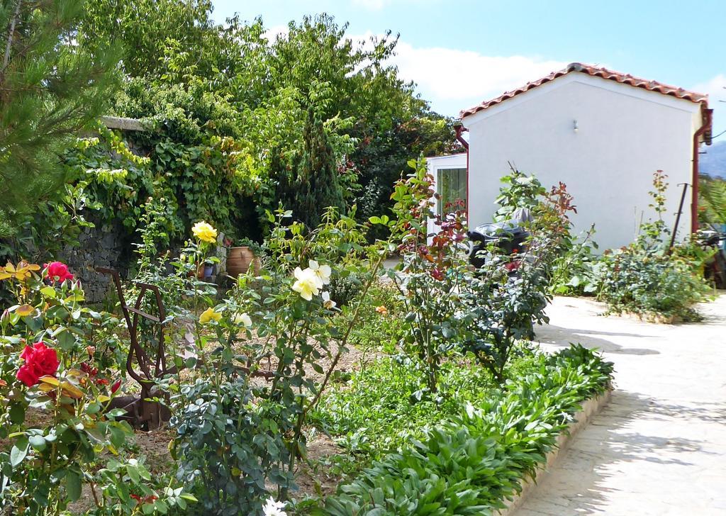 Maison Kronio Lassithi Plateau Marmaketon Dış mekan fotoğraf