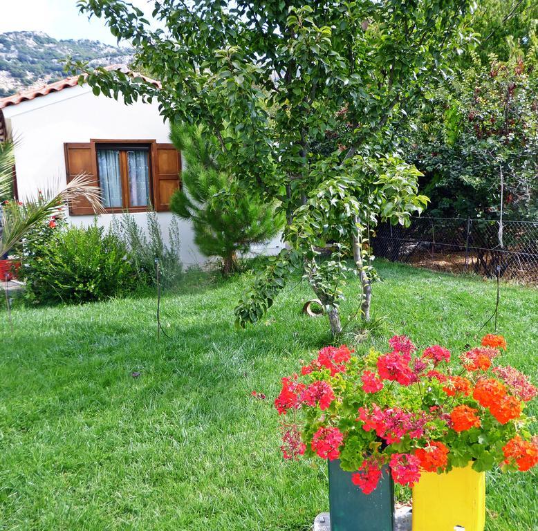 Maison Kronio Lassithi Plateau Marmaketon Dış mekan fotoğraf