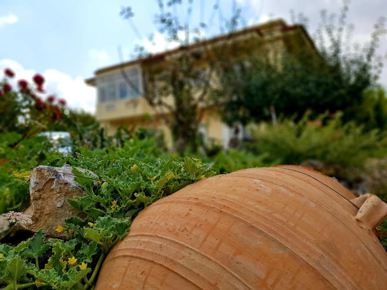 Maison Kronio Lassithi Plateau Marmaketon Dış mekan fotoğraf