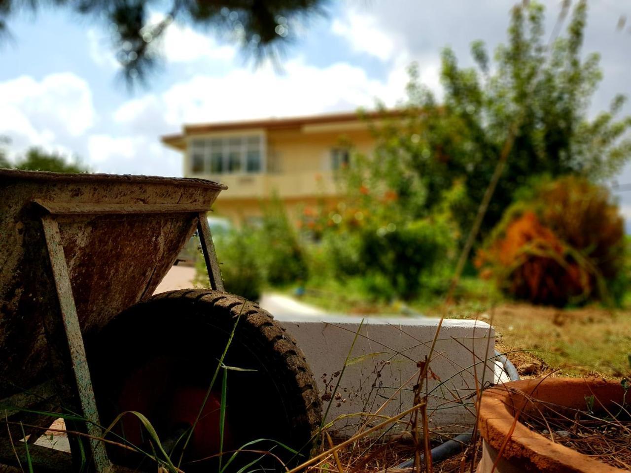 Maison Kronio Lassithi Plateau Marmaketon Dış mekan fotoğraf