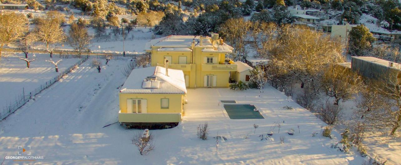 Maison Kronio Lassithi Plateau Marmaketon Dış mekan fotoğraf
