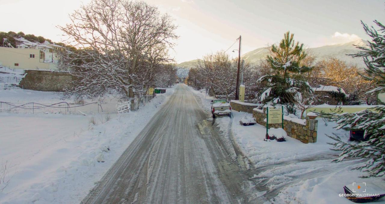 Maison Kronio Lassithi Plateau Marmaketon Dış mekan fotoğraf
